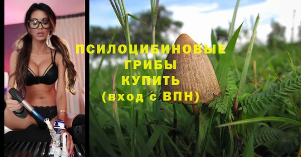 a pvp Балахна