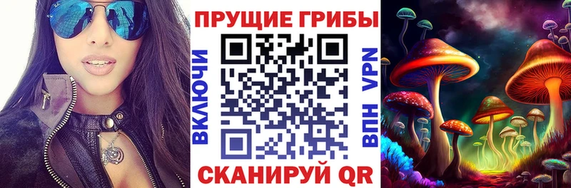Псилоцибиновые грибы GOLDEN TEACHER  цены наркотик  Тосно 